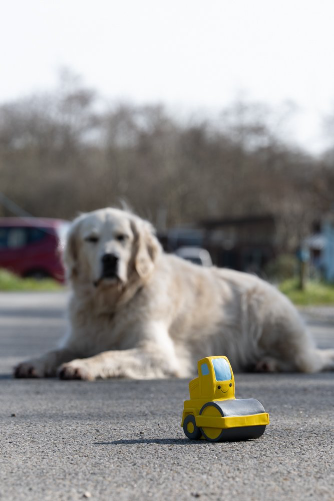 Petface Rumble the Road Roller