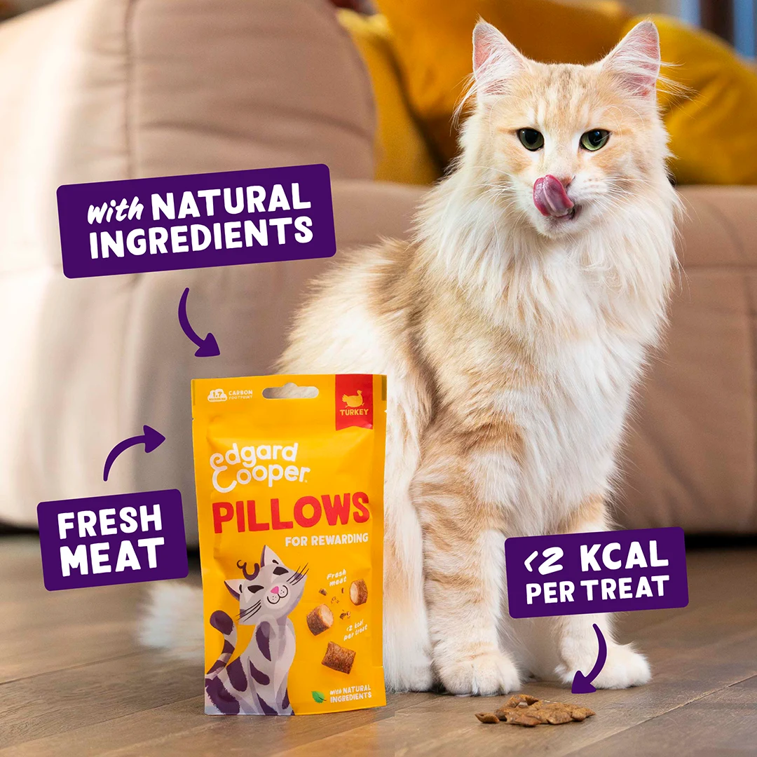 Edgard & Cooper Cat Pillows Turkey 50g