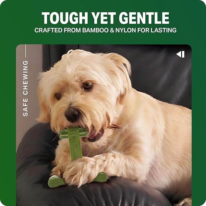 Bamboodles Dental Chew Toy Lamb & Mint -