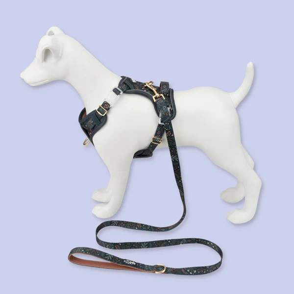 Wyld Cub Step & Switch Harness Ravenwood