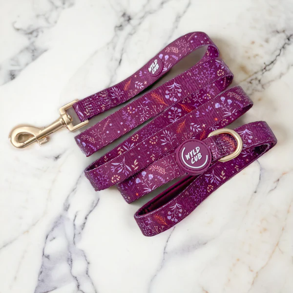 Wyld Cub Chiswick Lead 5ft - Fig