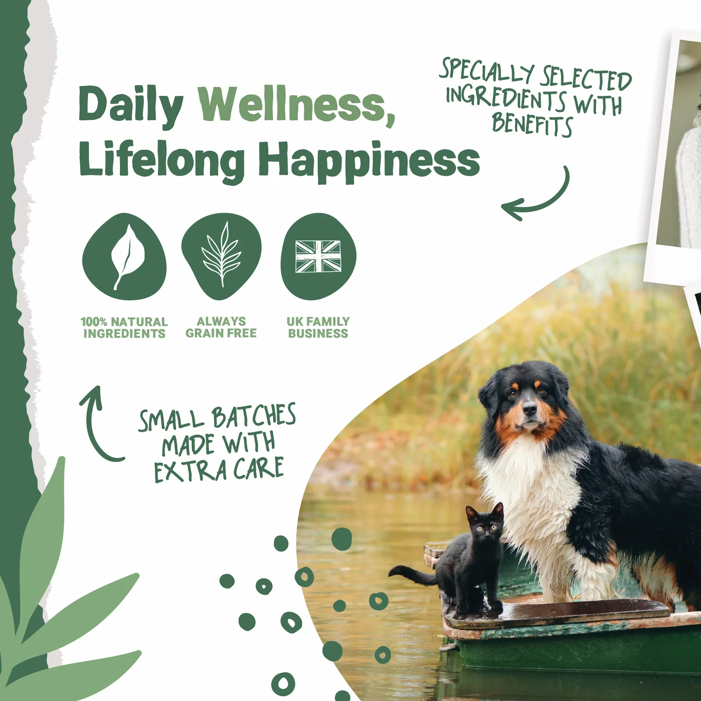 Pets Purest Himalayan Yak Chews Small - 5pk
