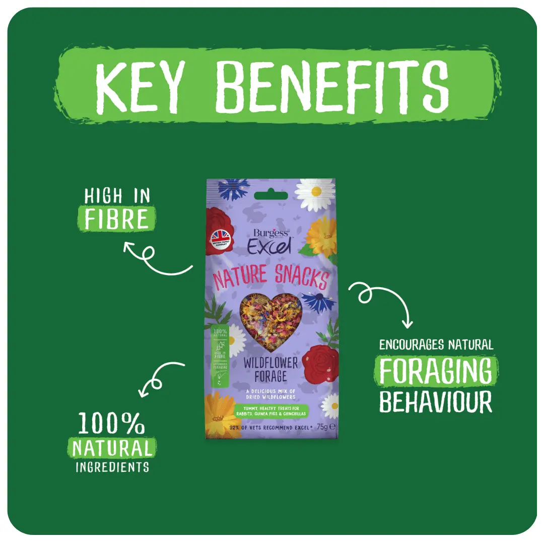 Burgess Excel Wildflower Forage 60g