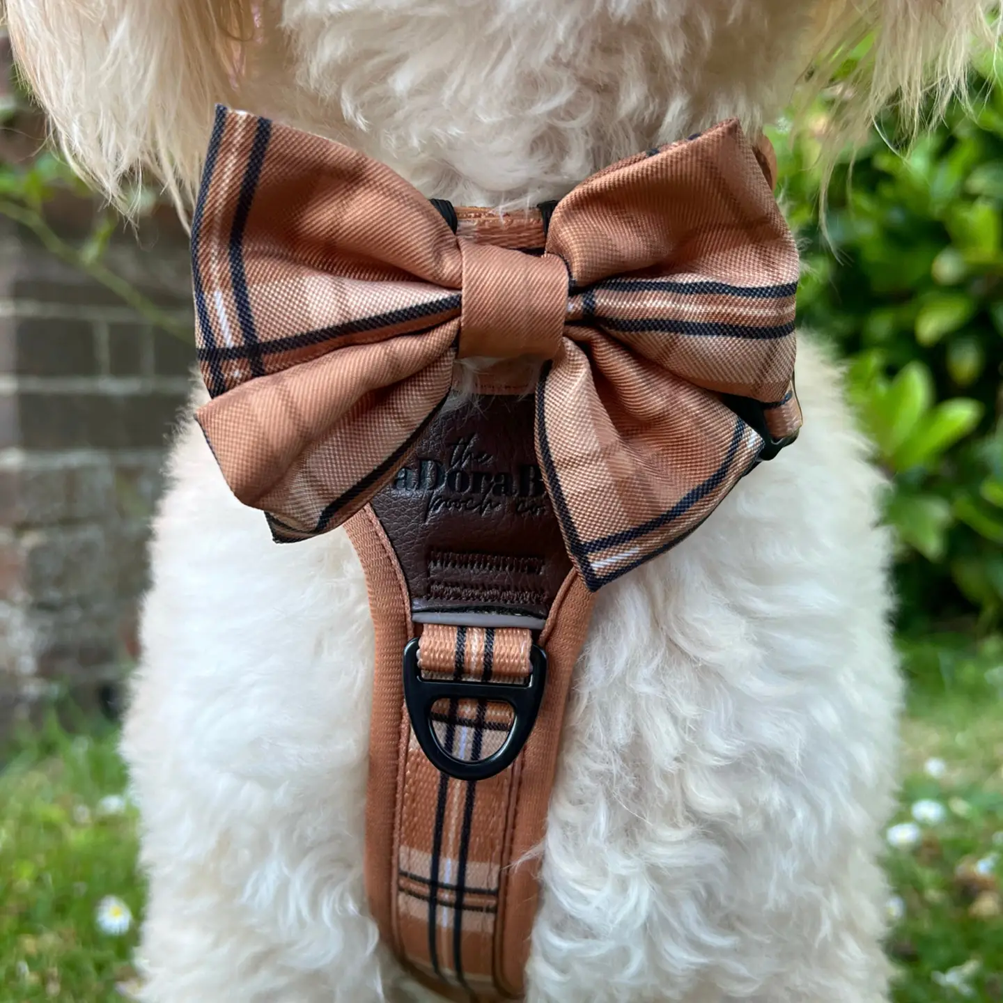 The aDoraBle Pooch Co. Heritage Sailor Bow Tie - Butterscotch Biscuit