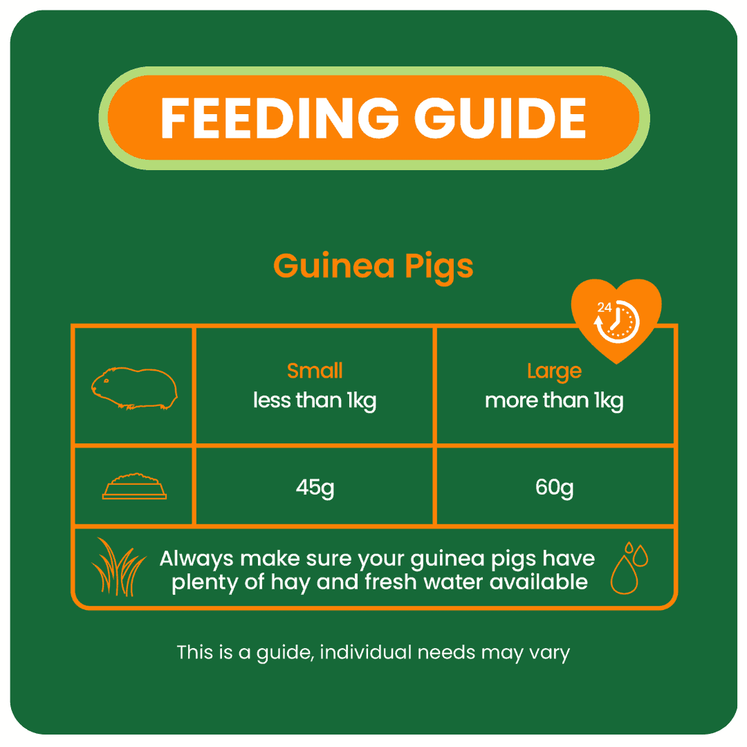 Burgess Excel Mature Guinea Pig 1.5kg