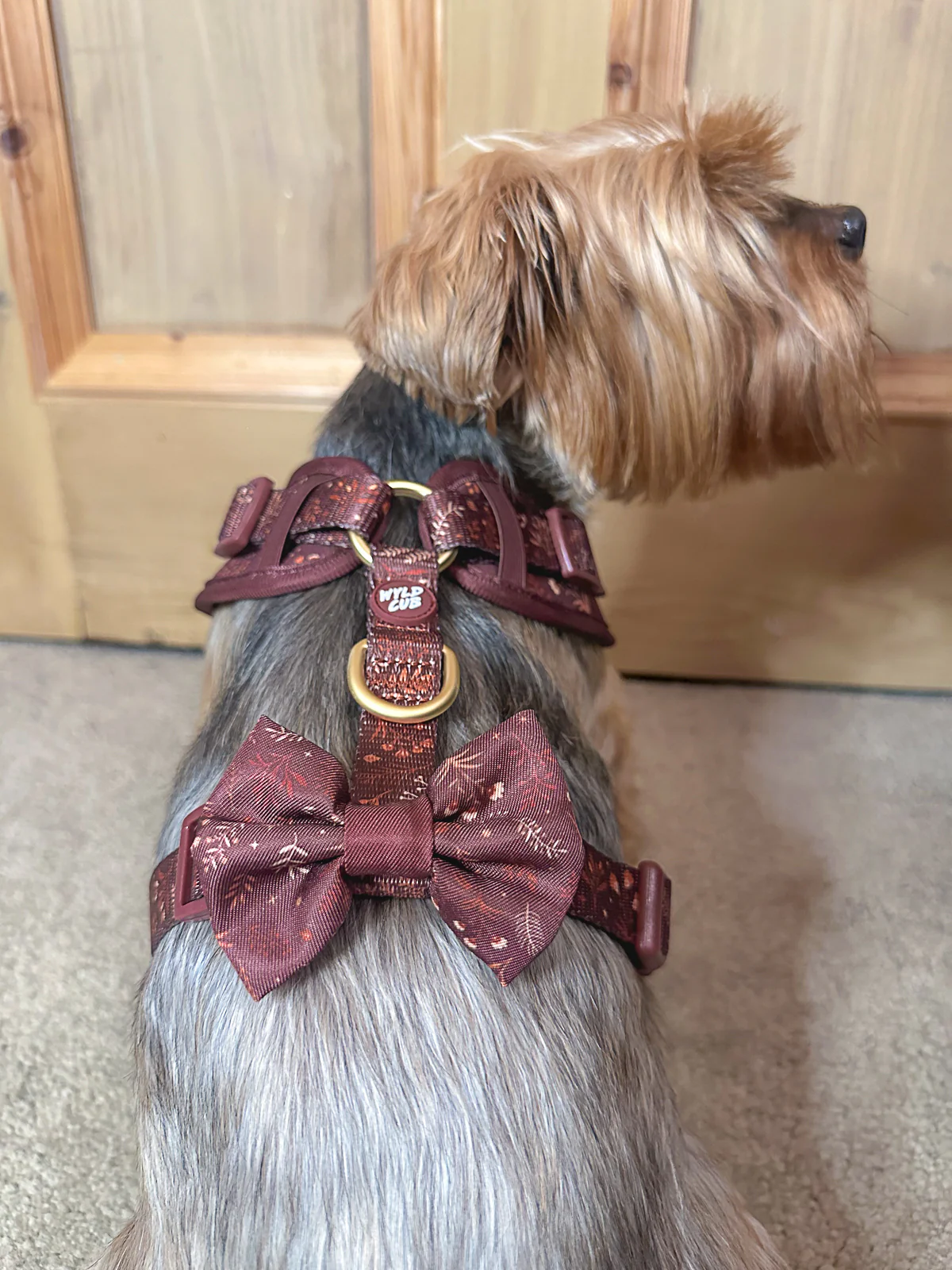 Wyld Cub Chiswick Dickie Bow Tie - Chestnut