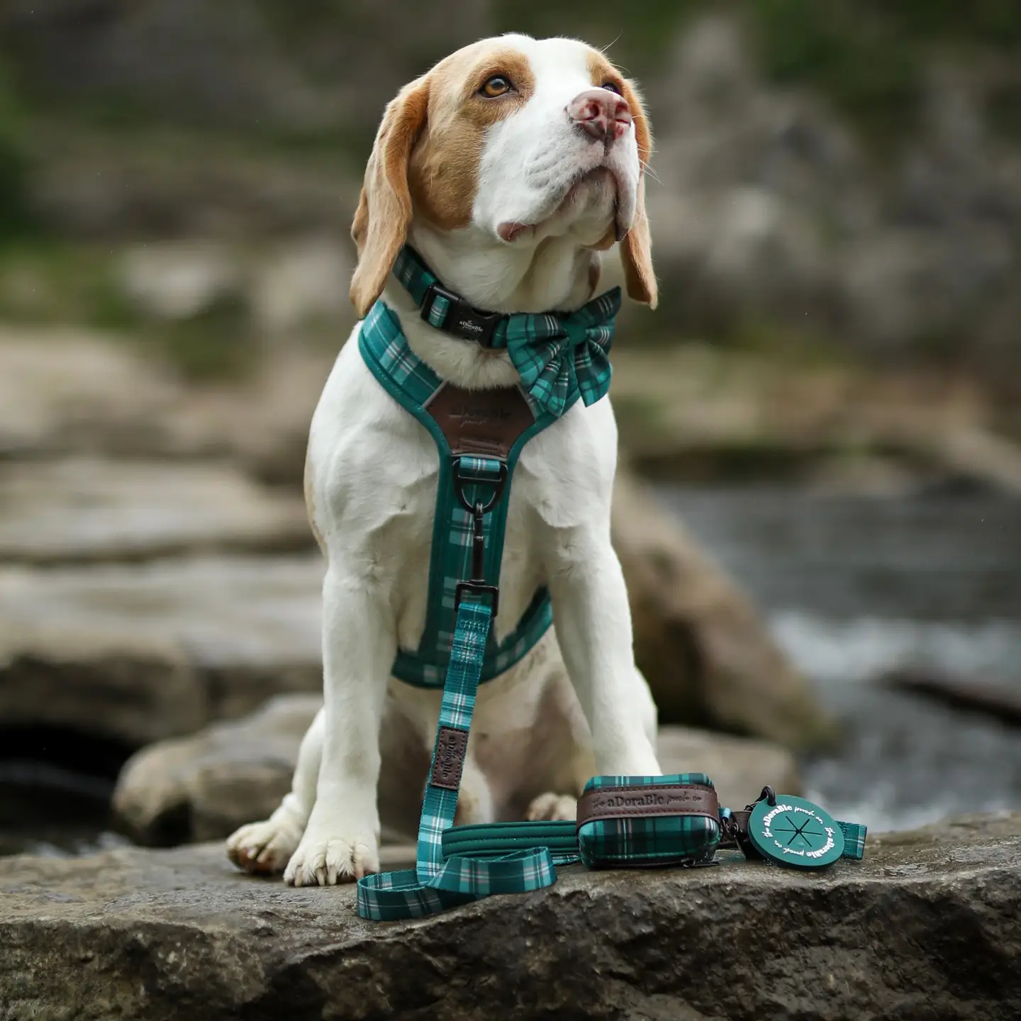 The aDoraBle Pooch Co. Heritage Lead - Pheasant Green