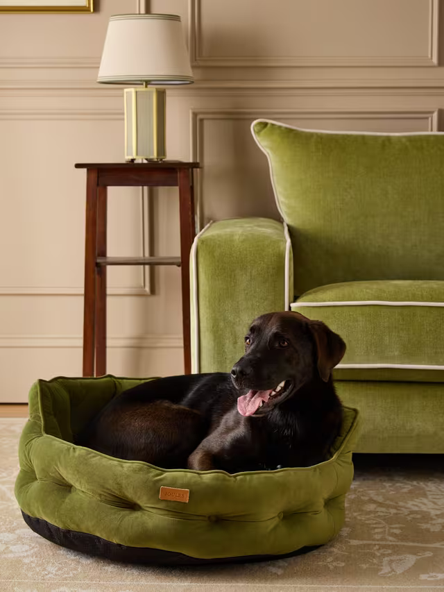 Joules Chesterfield Dog Bed Khaki - Large
