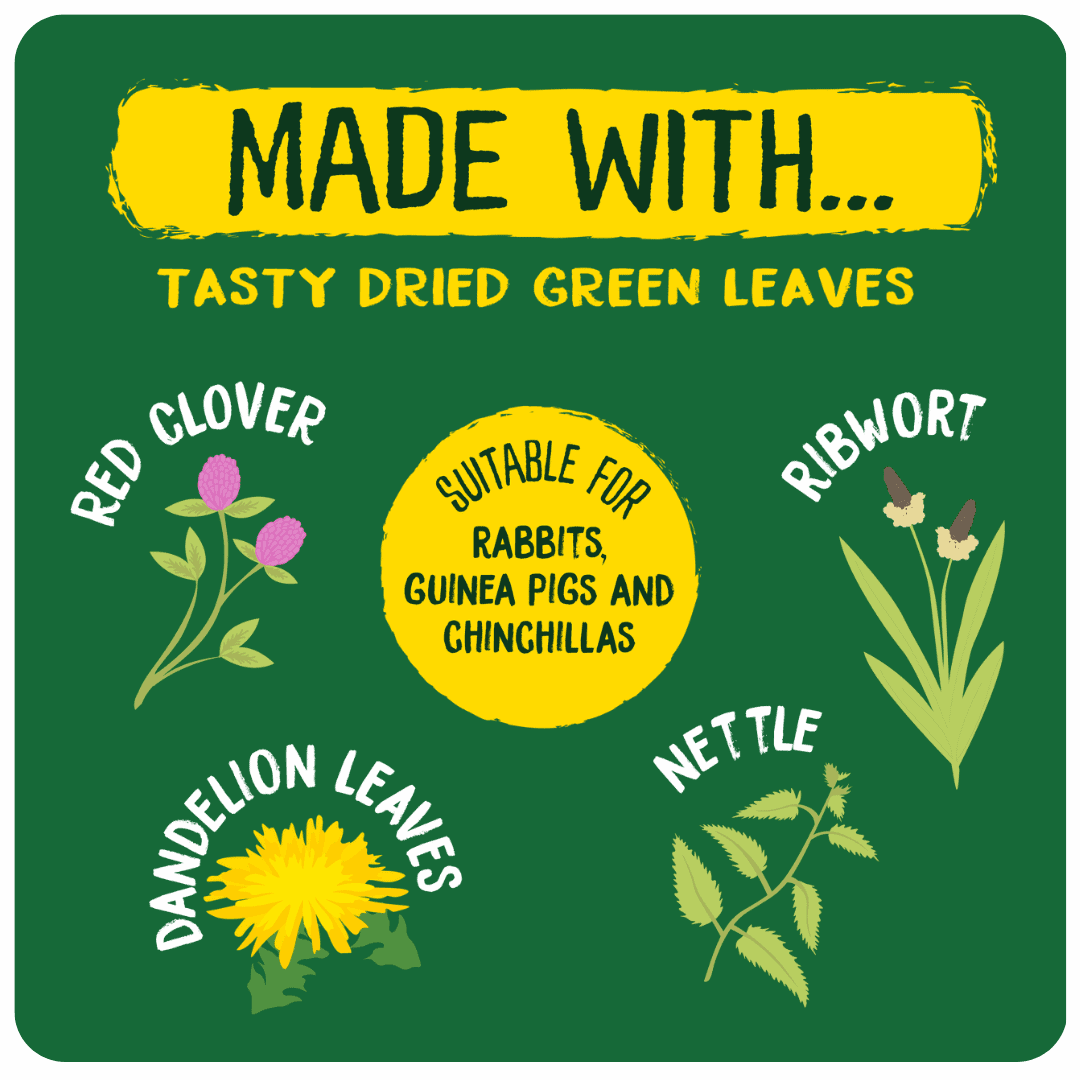 Burgess Excel Luscious Leaves 60g