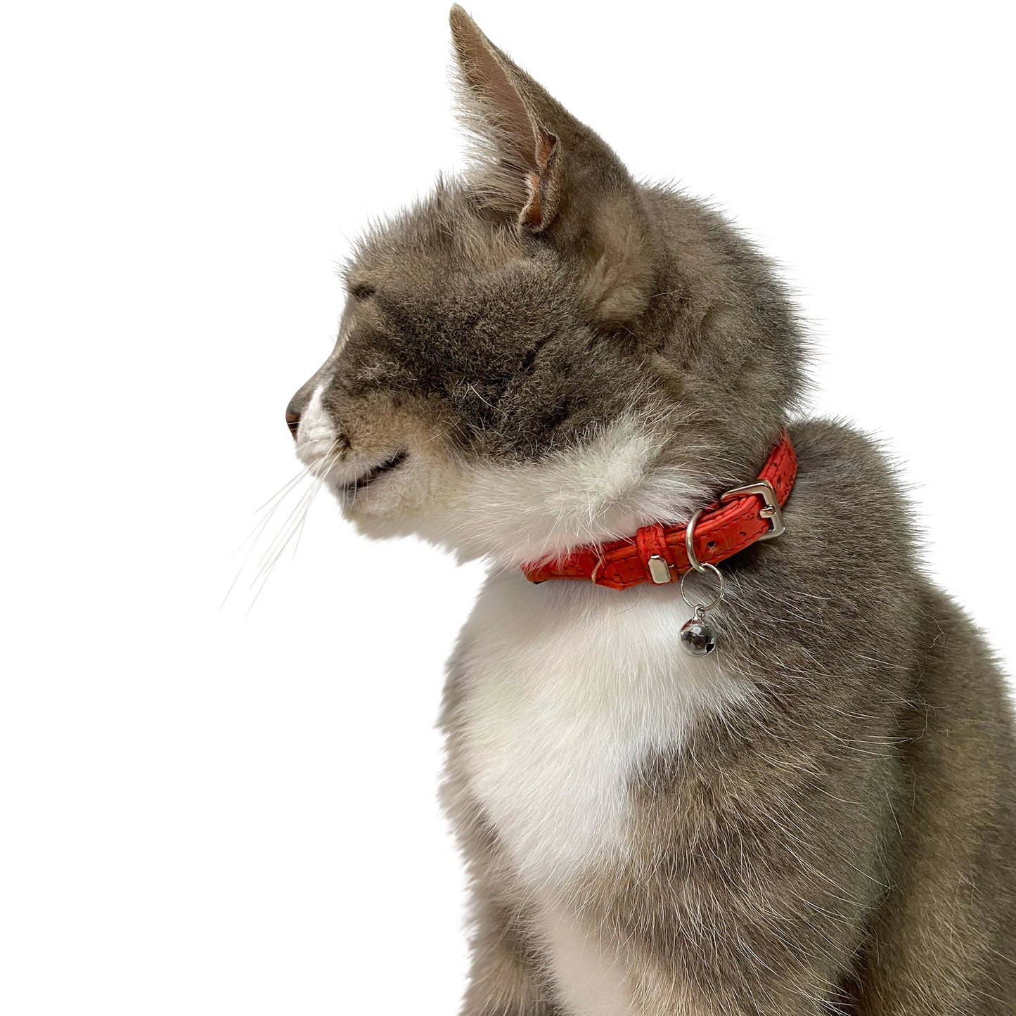 Mimis Cork Cat Collar - Red