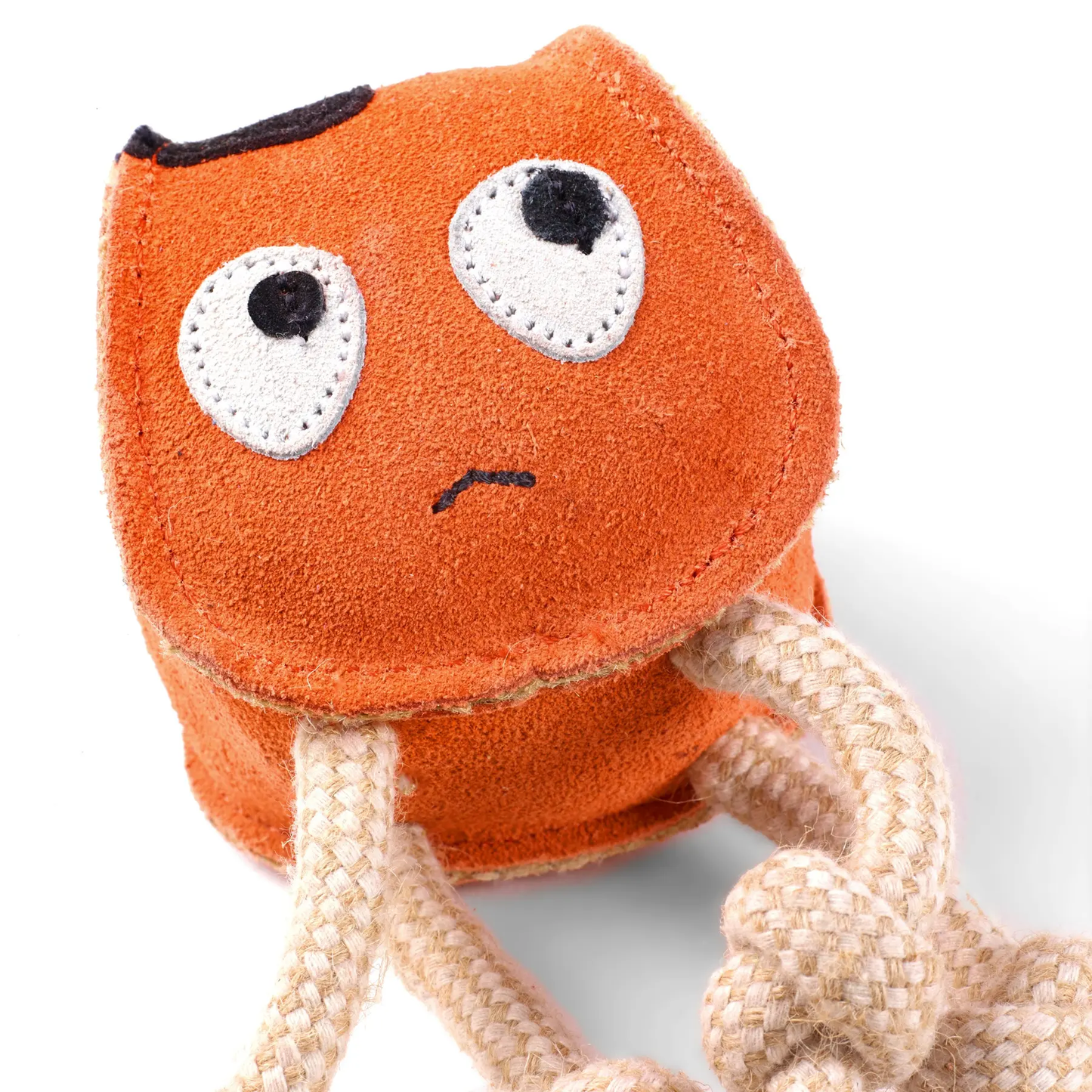 Green & Wild's Sid the Squid