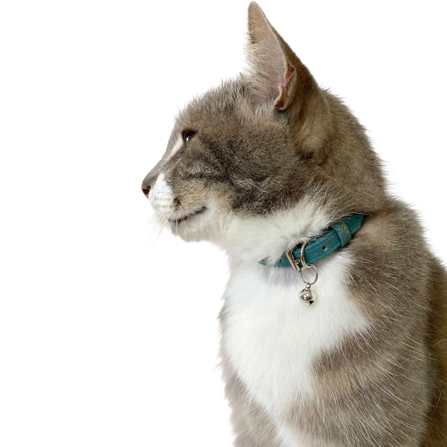 Mimis Cork Cat Collar - Blue