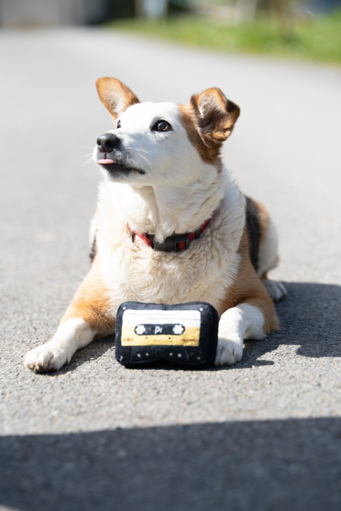 Petface Retro Cassette Tape Plush