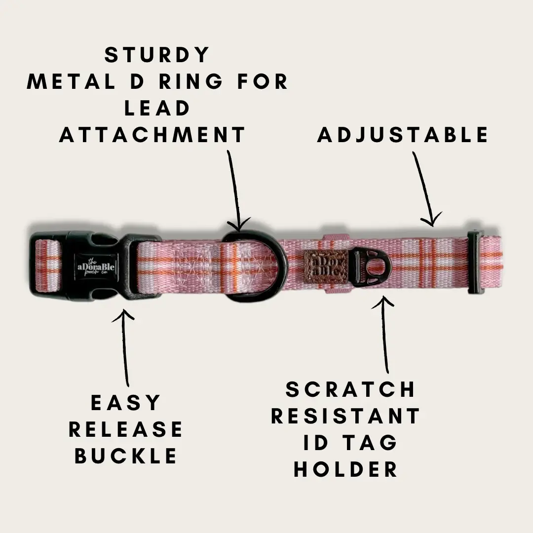 The aDoraBle Pooch Co. Collar Strawberry Cottage -