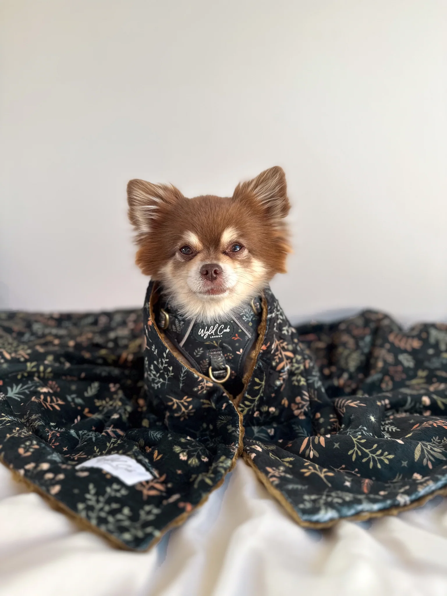 Wyld Cub Snuggle Pet Blanket - Chiswick Ravenwood