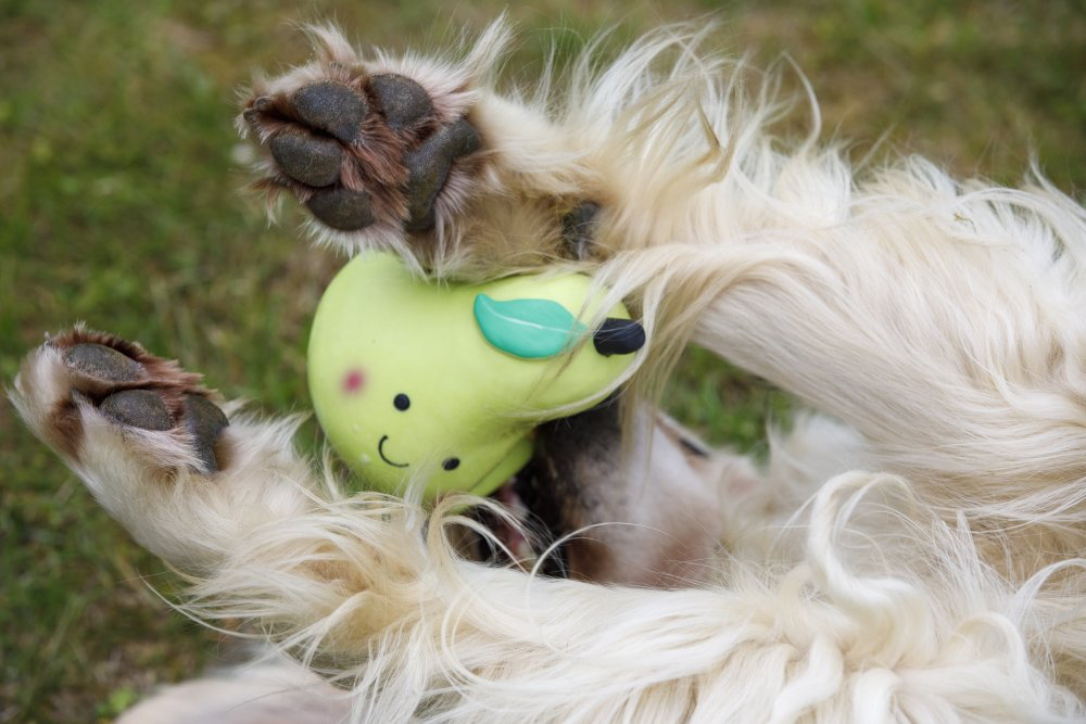 Foodie Faces Latex Pear Toy - Large