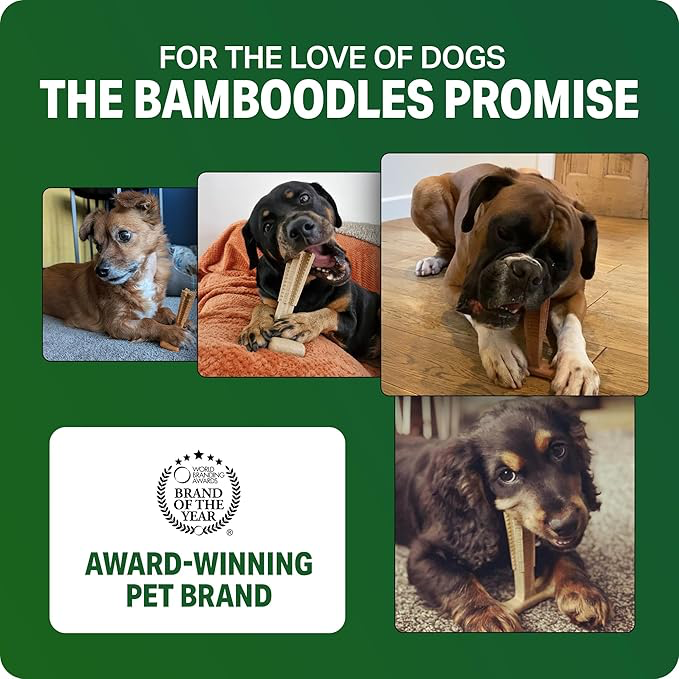 Bamboodles Dental Chew Toy Cheese -
