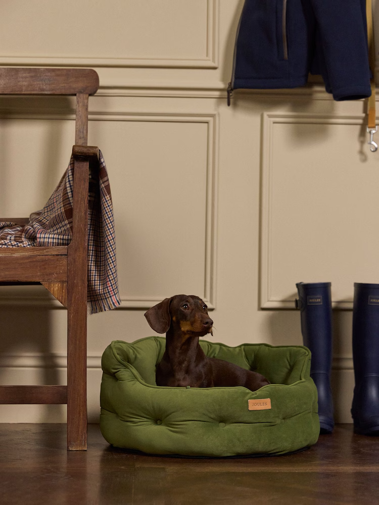 Joules Chesterfield Dog Bed Khaki - Large