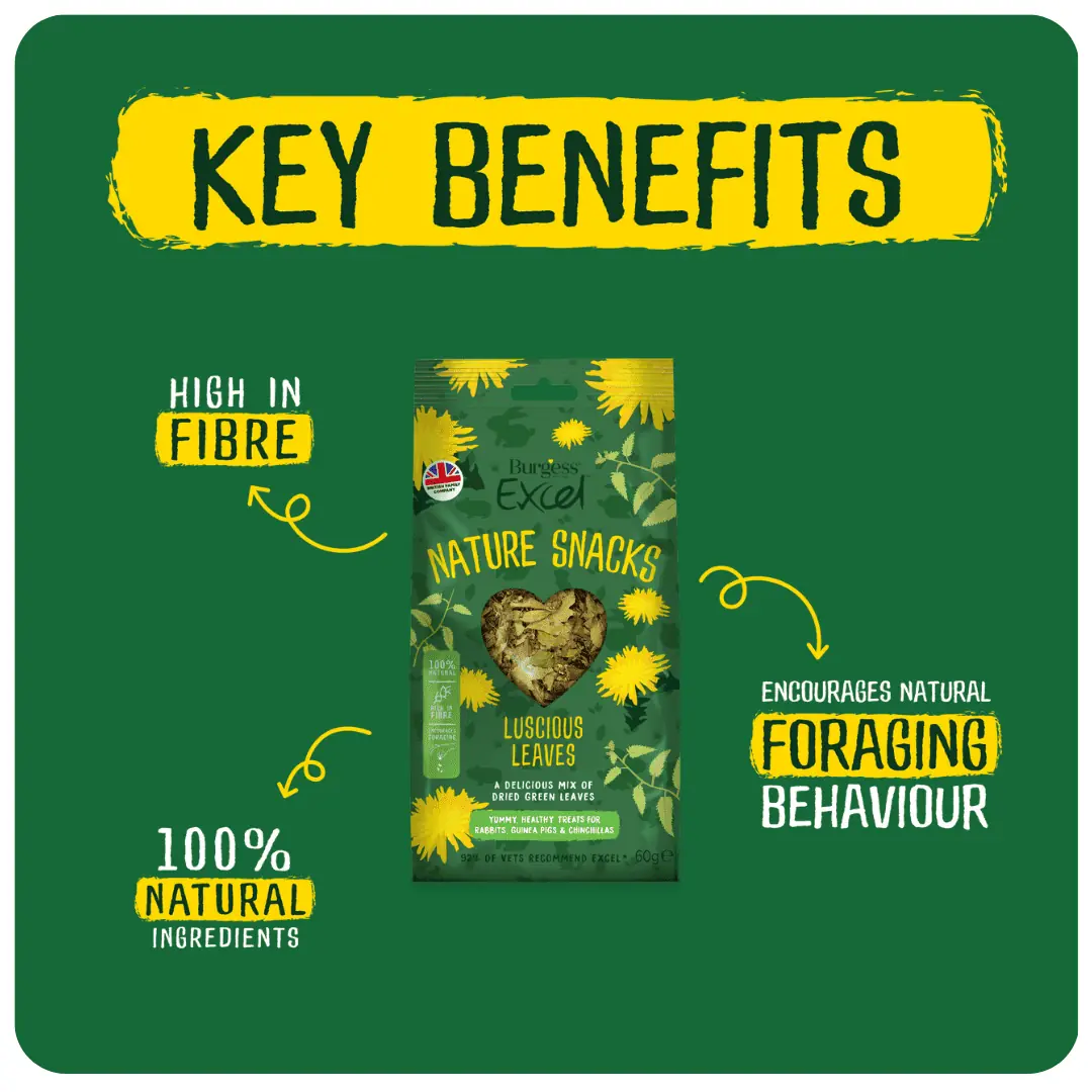 Burgess Excel Luscious Leaves 60g