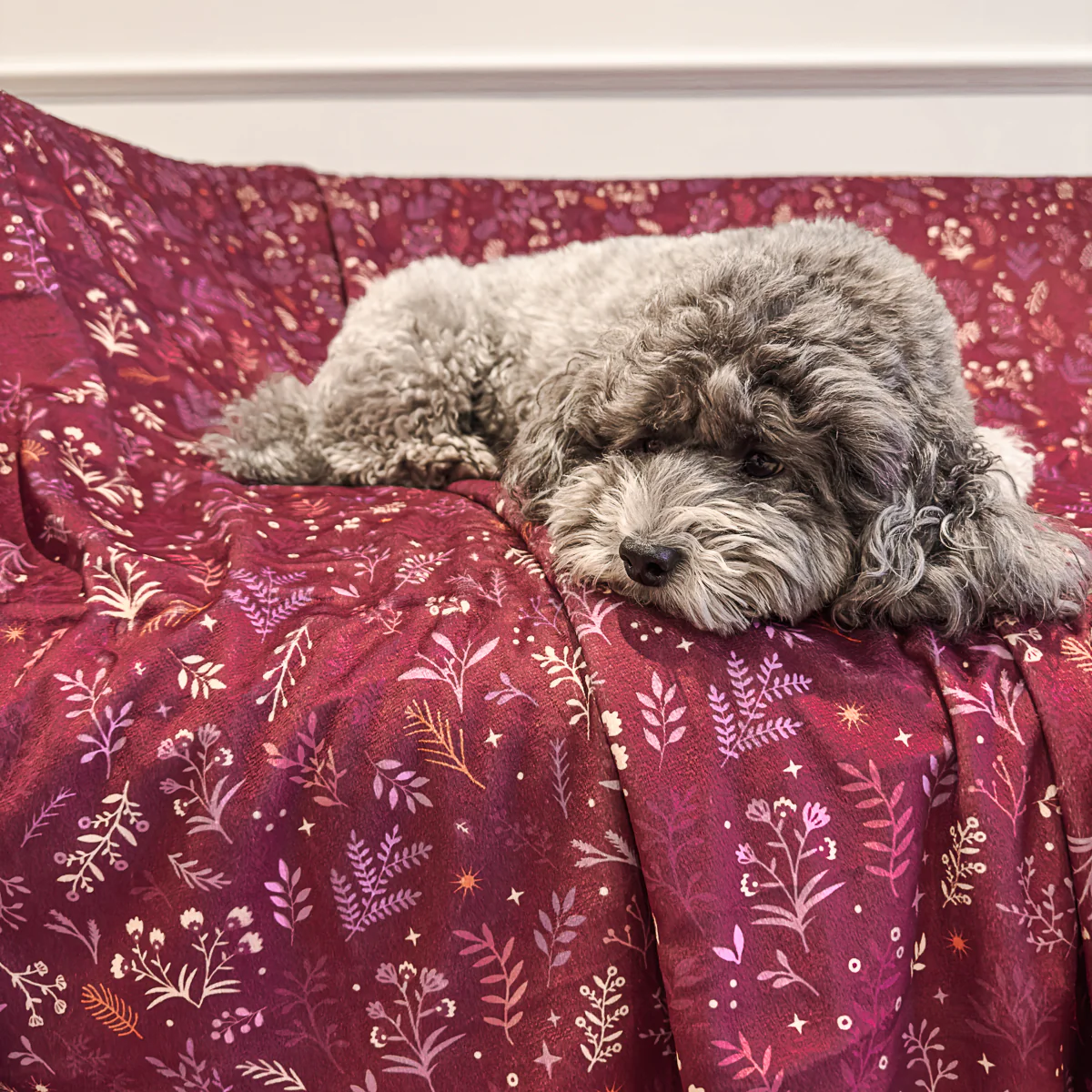Wyld Cub Snuggle Pet Blanket - Chiswick Fig