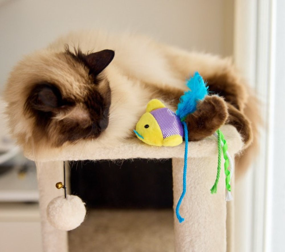 Petface Cat Shiny Fish Toy