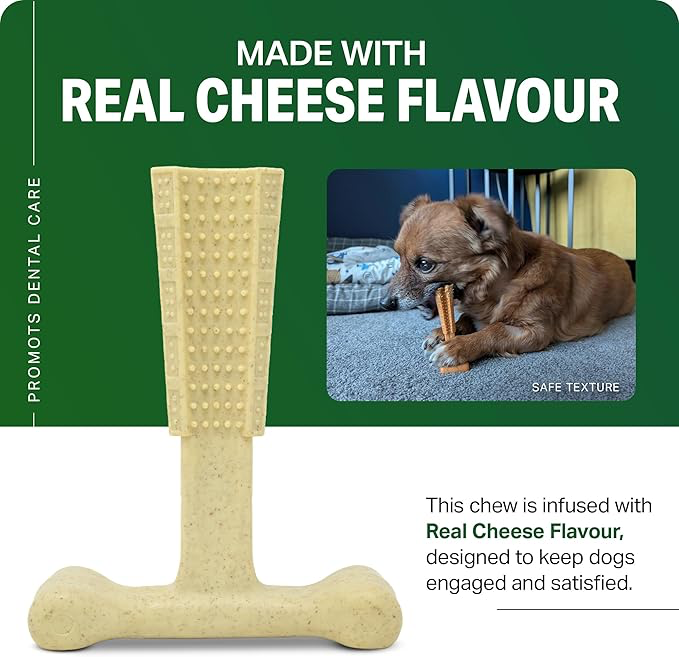 Bamboodles Dental Chew Toy Cheese -