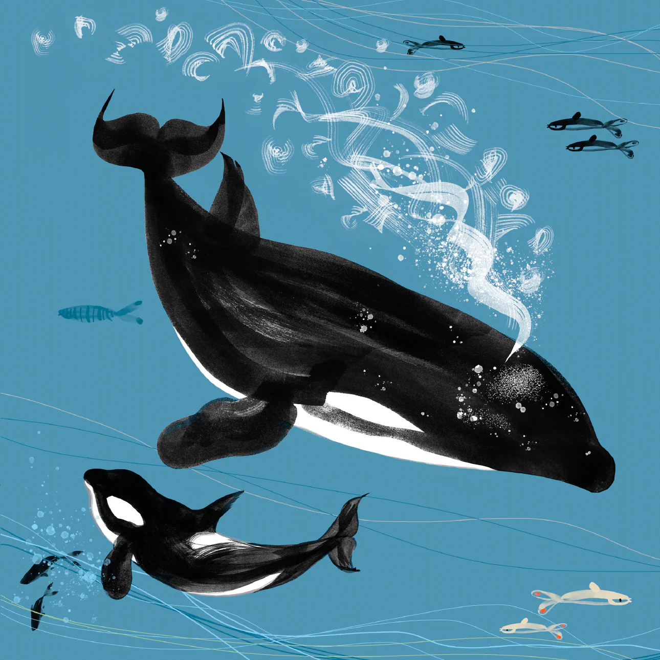 Lydia London - Orca Killer Whale Card