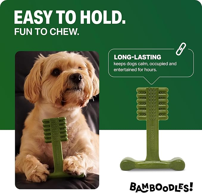 Bamboodles Dental Chew Toy Lamb & Mint -