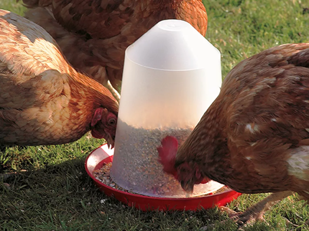 Savic Poultry Feeder - 6L