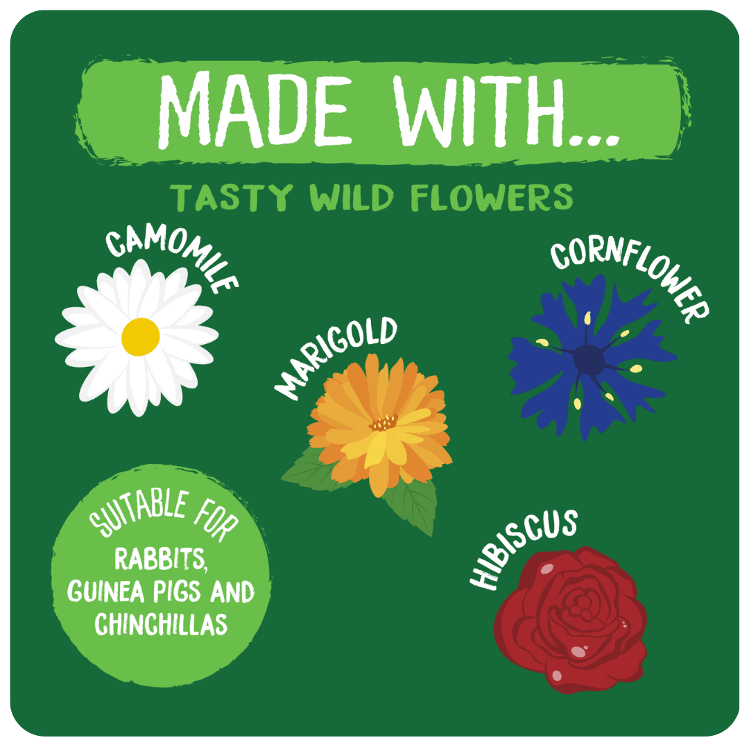 Burgess Excel Wildflower Forage 60g