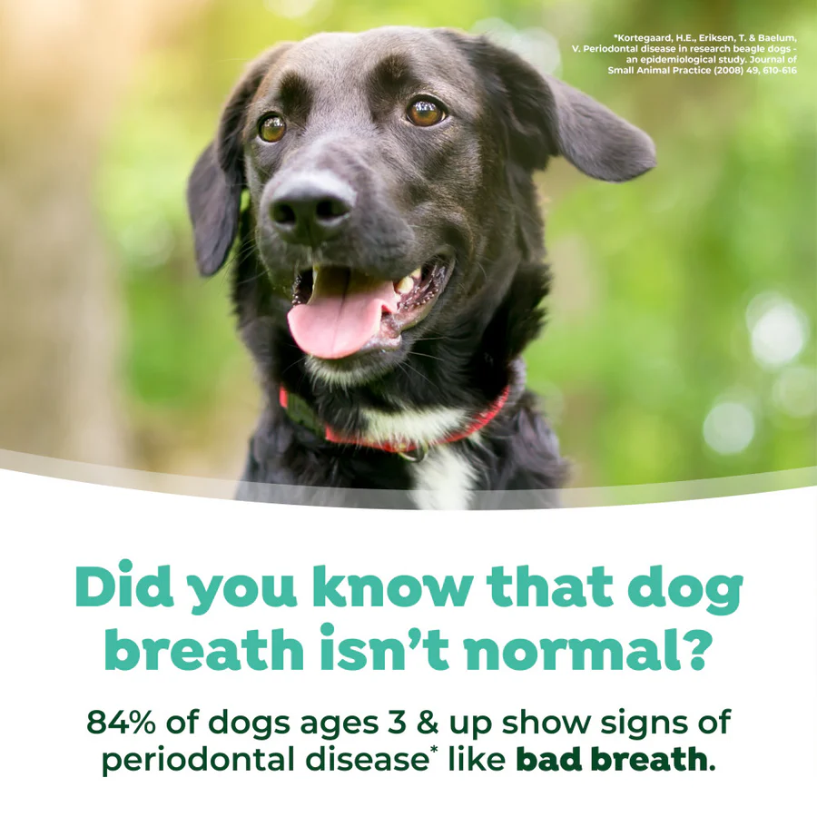 TropiClean Water Additive for Dogs 473ml