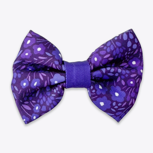 Wyld Cub Notting Hill Dickie Bow Tie - Blackberry