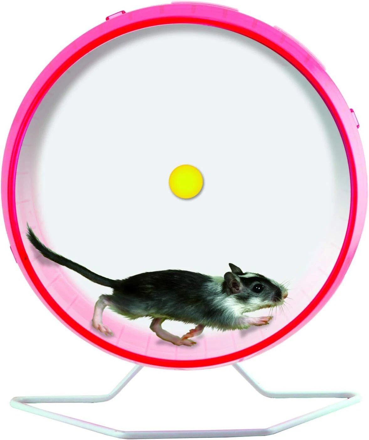 Kaytee Comfort Wheel Giant 30.5cm