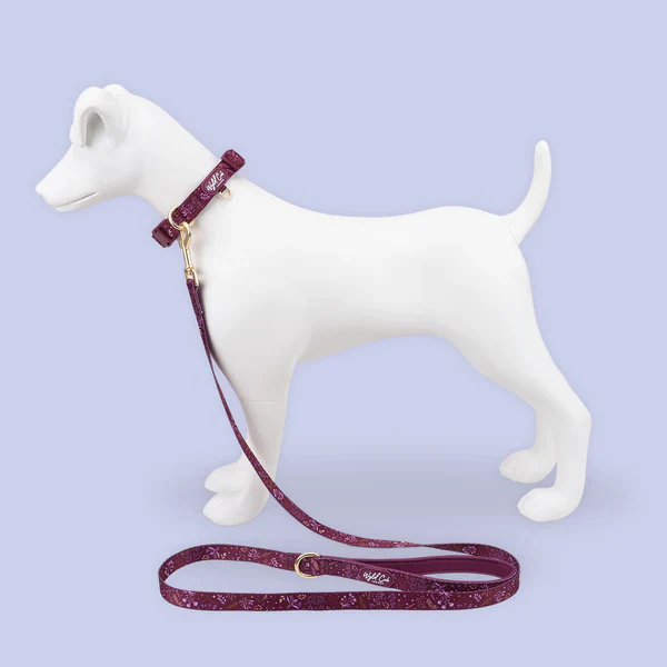 Wyld Cub Chiswick Collar - Chestnut