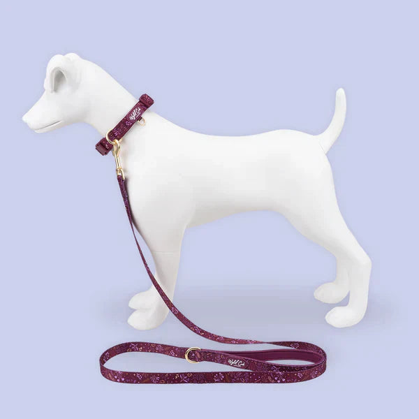 Wyld Cub Chiswick Collar - Ginger