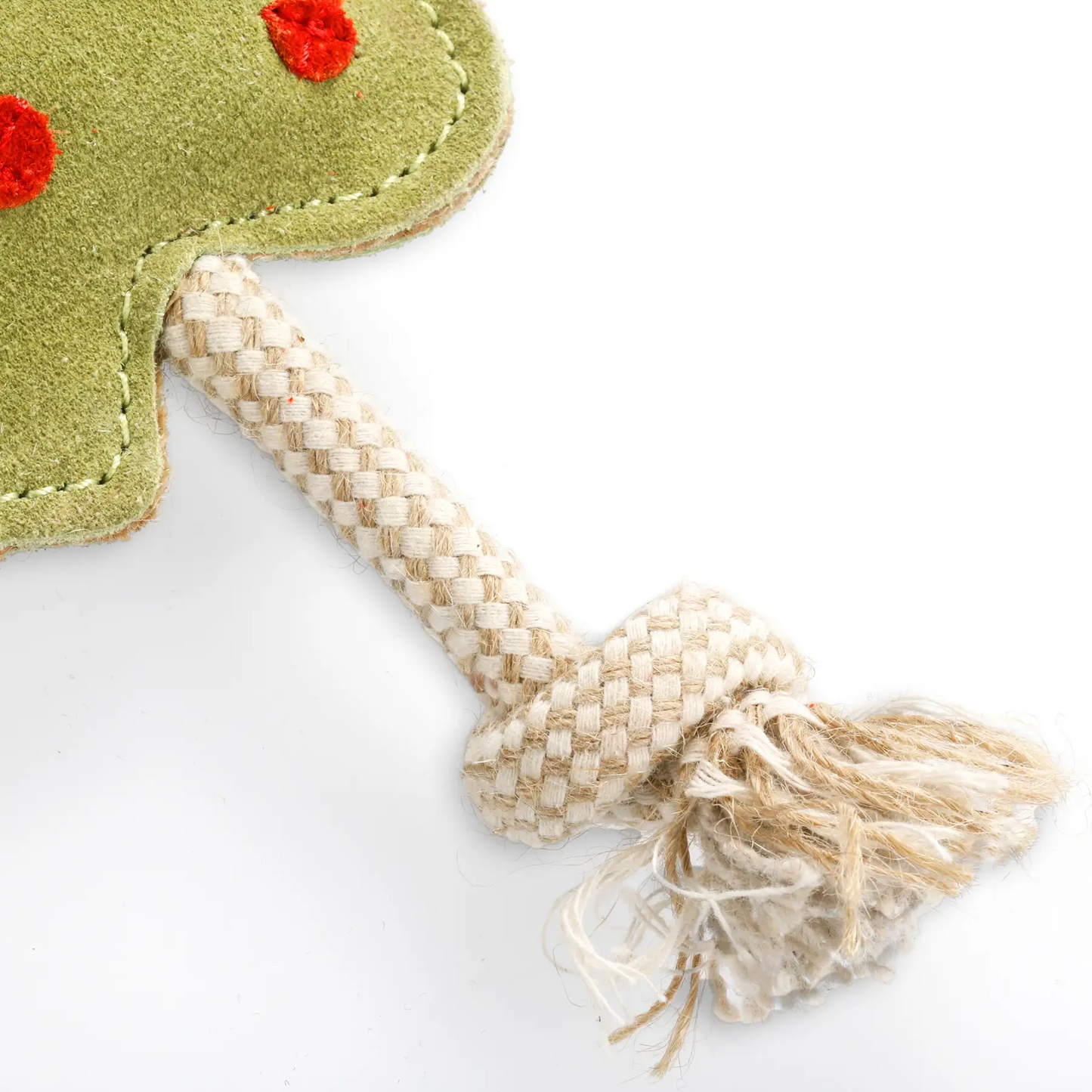 Green & Wild's Splodge Eco Dog Toy