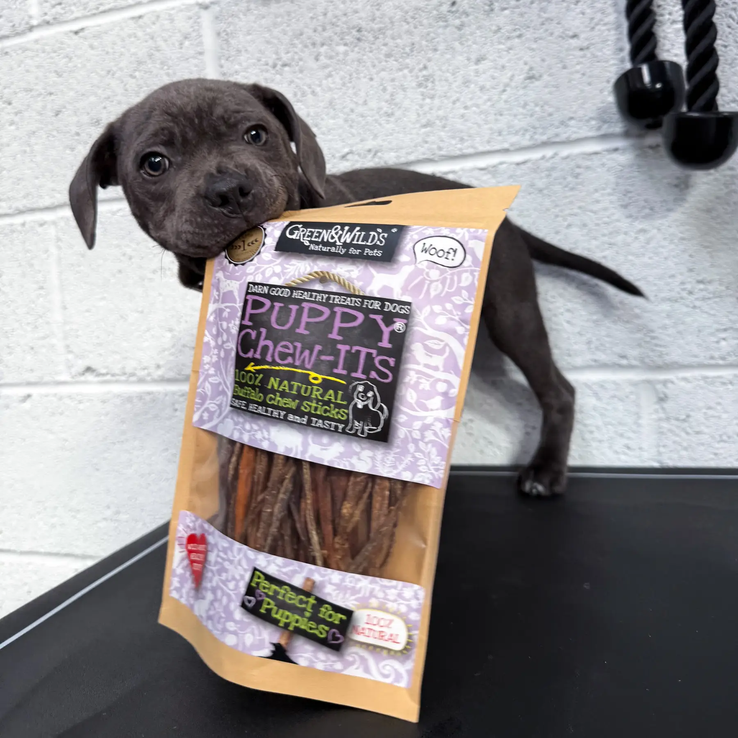 Green & Wild's Puppy Chew-Its 80g