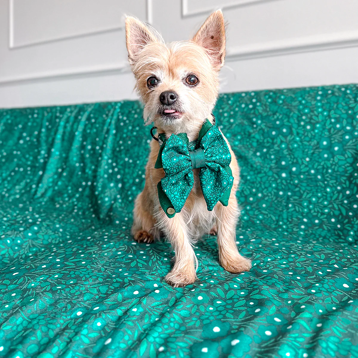 Wyld Cub Notting Hill Butterfly Bow - Gooseberry