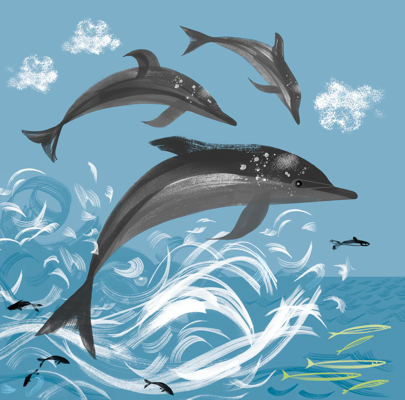 Lydia London - Dolphin Card