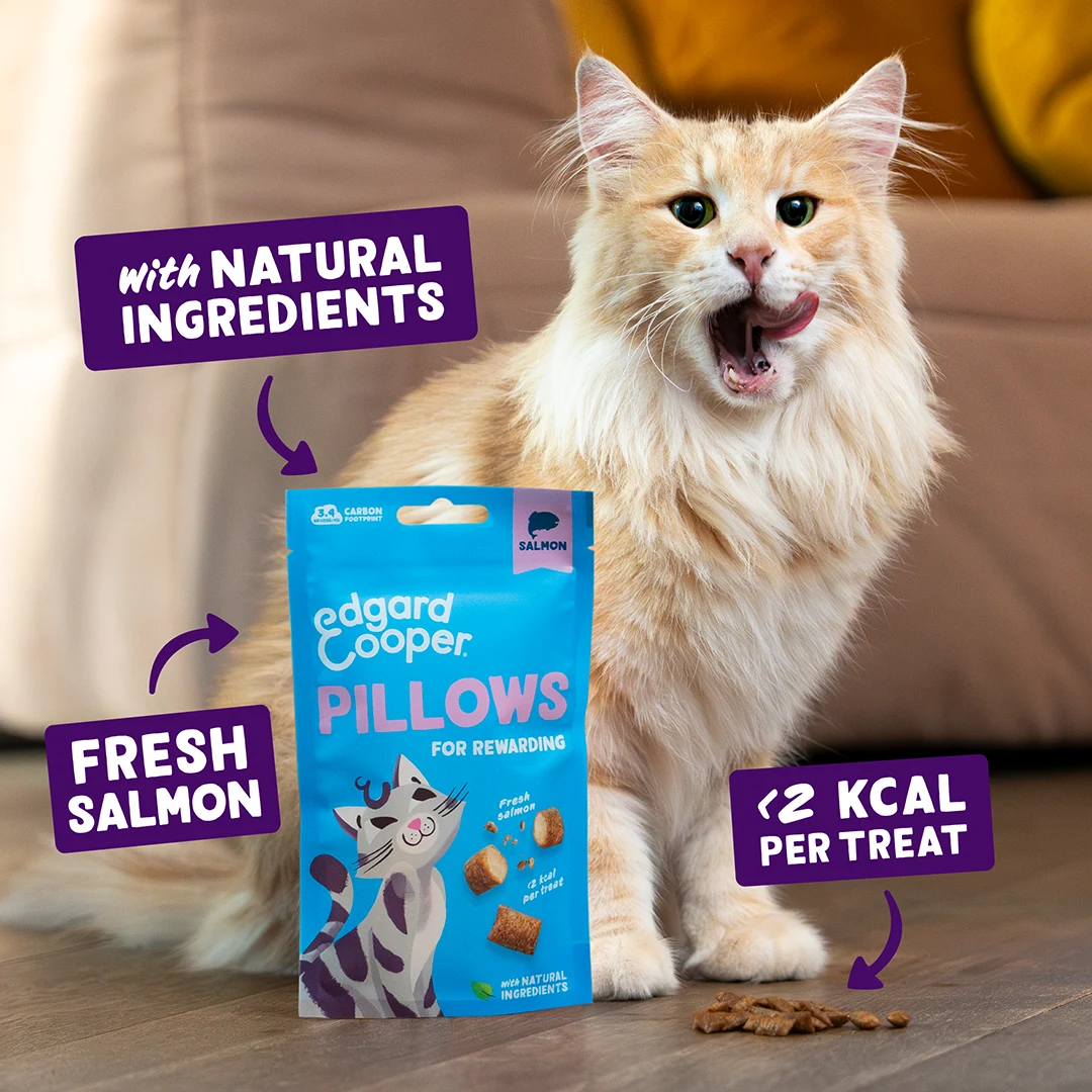 Edgard & Cooper Cat Pillows Salmon 50g