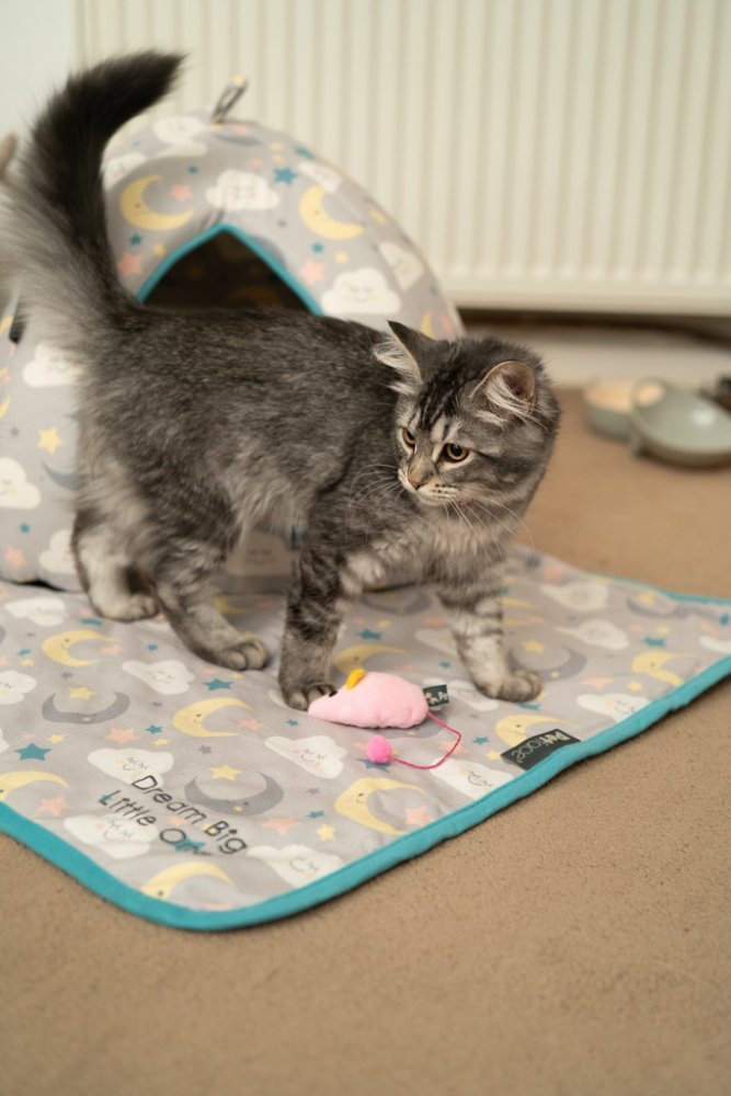 Little Petface Dream Pet Comforter