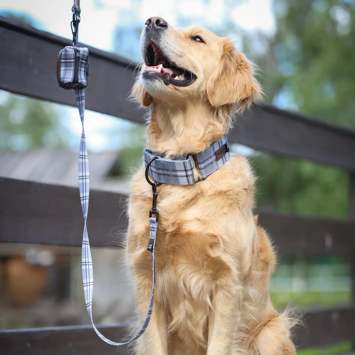 The aDoraBle Pooch Co. Heritage Lead - Gunsmoke Grey