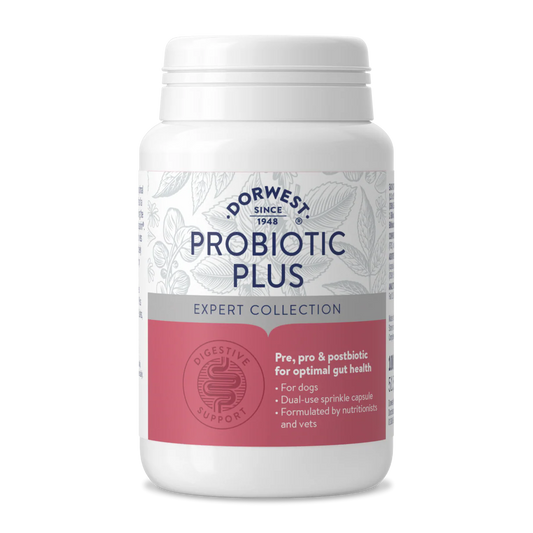 Dorwest Probiotic Plus - 100 Capsules