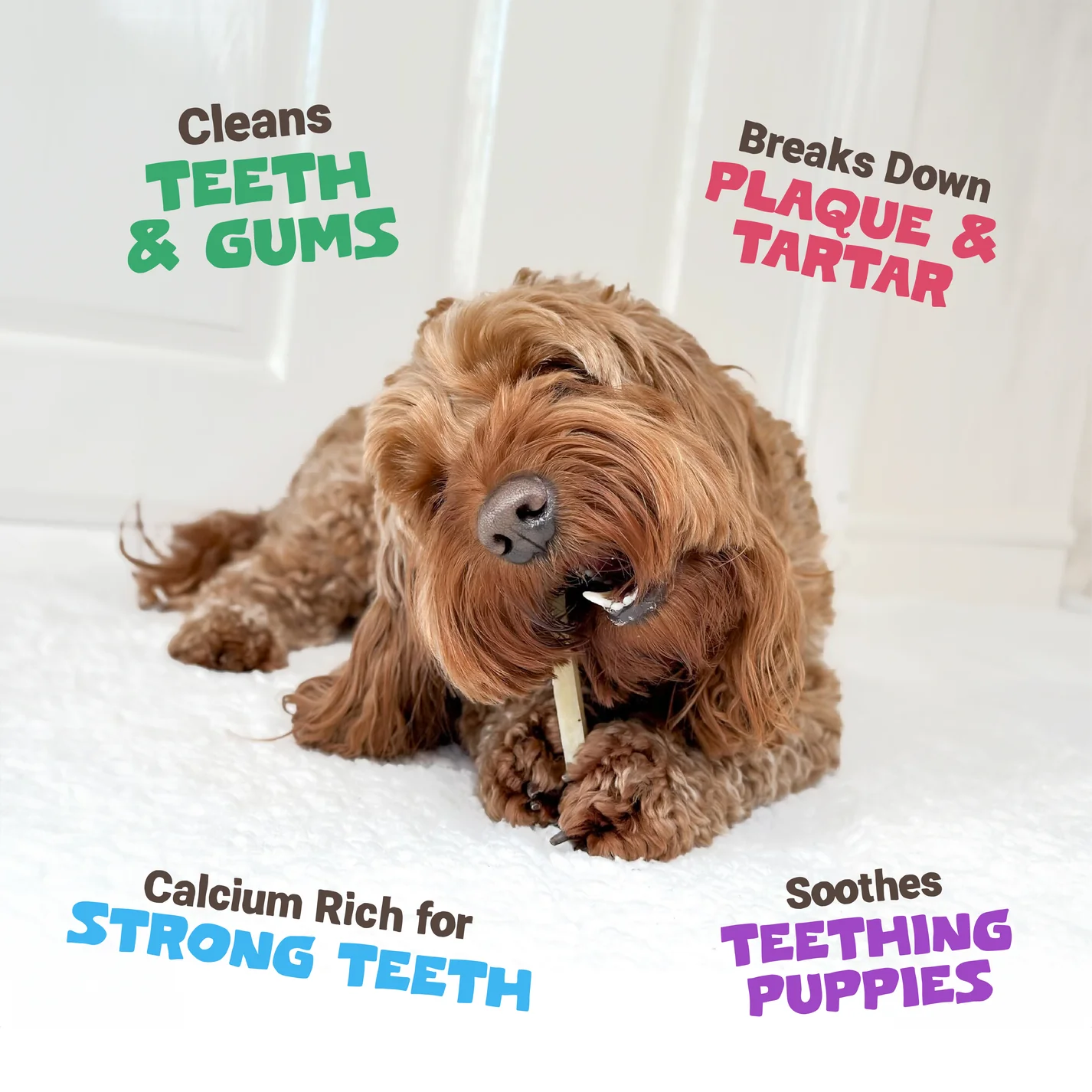 Pets Purest Himalayan Yak Chews Medium - 3pk