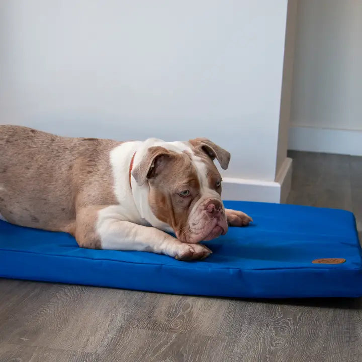 Ancol Waterproof Flat Pad Blue