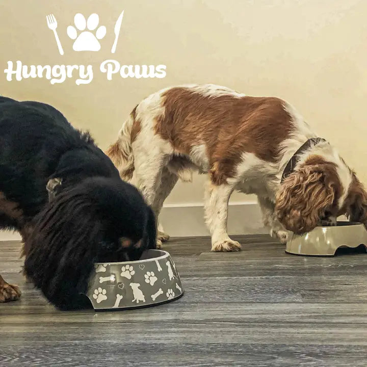 Ancol Hungry Paws Feeding Bowl 800ml - Oatmeal