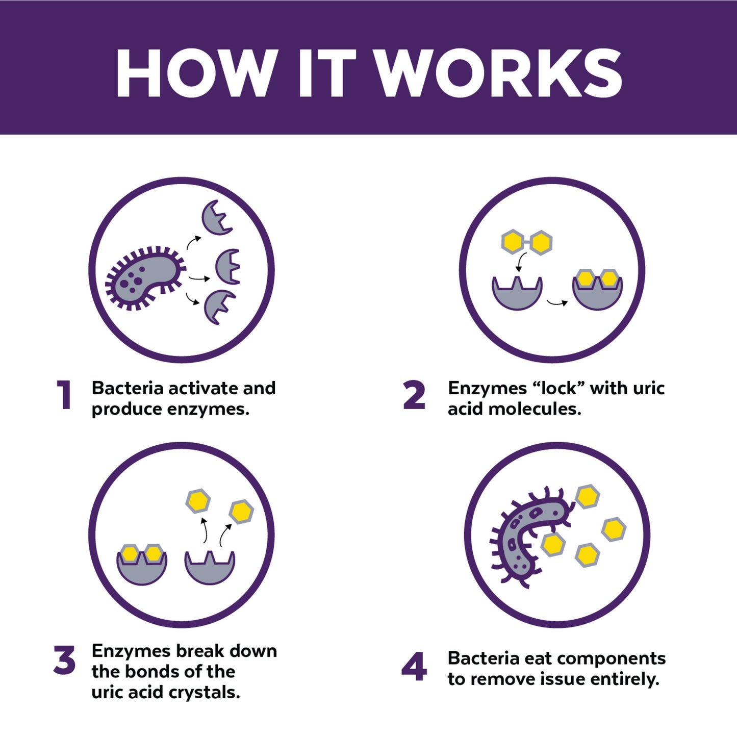 Urine Off Cat and Kitten Formula 500ml