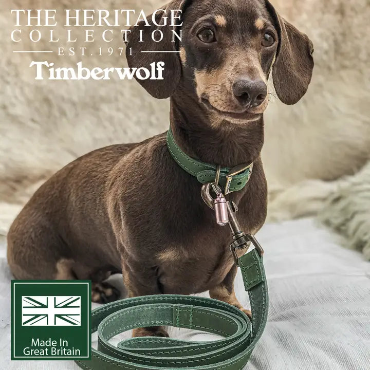 Timberwolf Leather Lead 1mx1.9cm - Green