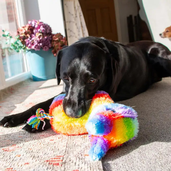 Ancol Birthday Pawty Piñata Toy