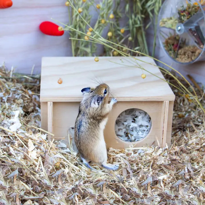 Ancol Burrow & Squeak Wooden Hide - Small